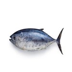 Seafood