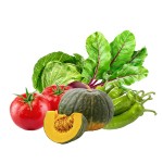 Vegetables