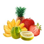 Fruits